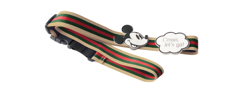 CASE BELT